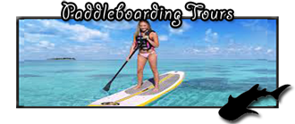 Paddleboard Tours and rentals in La Paz Baja Mexico