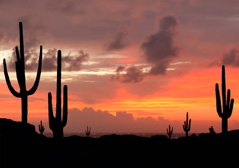 Desert at Sunset