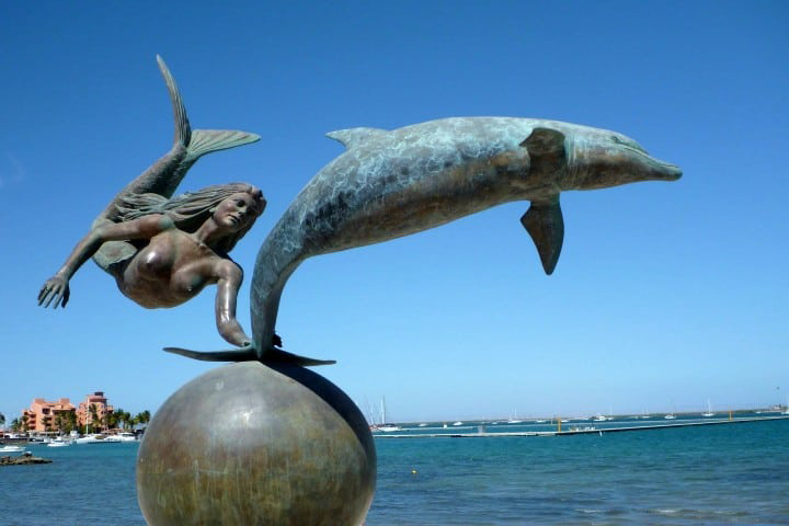 mermaid and dolphin